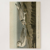 Puzzle Pluvier siffleur des oiseaux d'Amérique d'Audubon (Vertical)