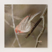 Puzzle Poignée perchée sur la branche (Vertical)