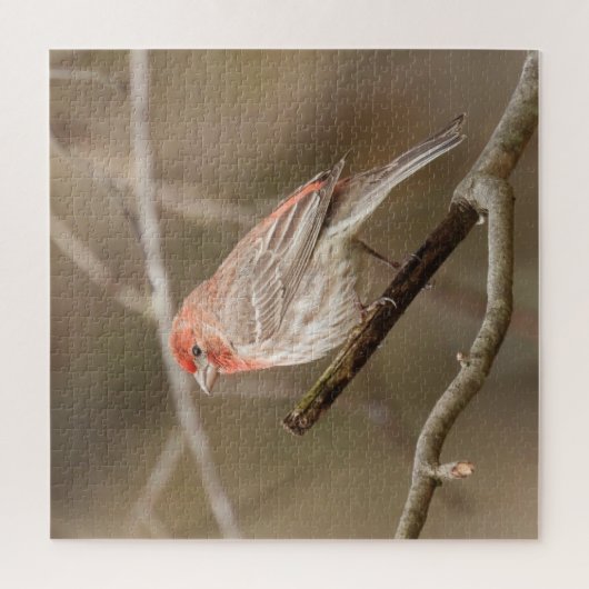 Puzzle Poignée perchée sur la branche (Vertical)