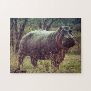 Puzzle Poing hippo debout à la caméra en Afrique Foliage