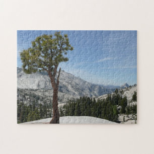 Puzzle Point I d'Olmsted au parc national Yosemite