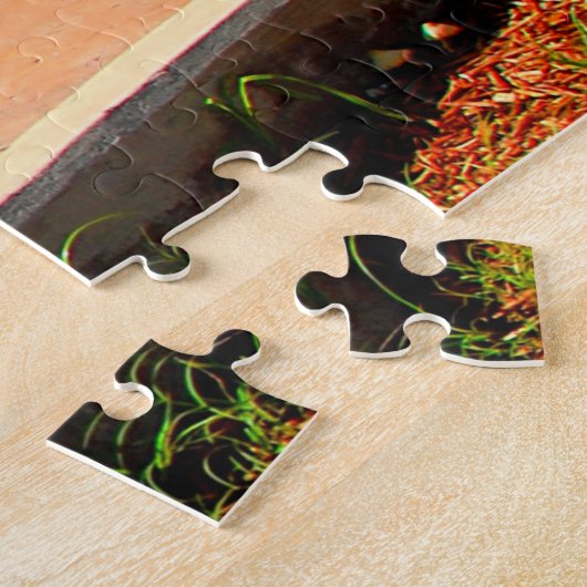 Puzzle Point le plus au sud Key West, Floride (Côté)