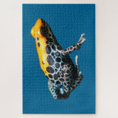 Puzzle Poison grenouille (Vertical)