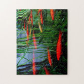 Puzzle Poisson (Vertical)