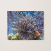 Puzzle Poisson (Horizontal)