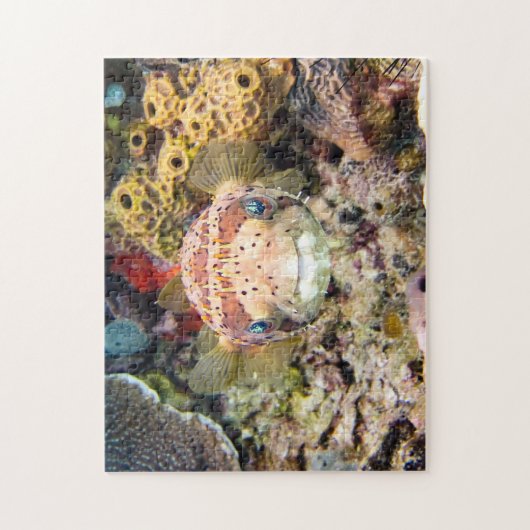 Puzzle Poisson (Vertical)