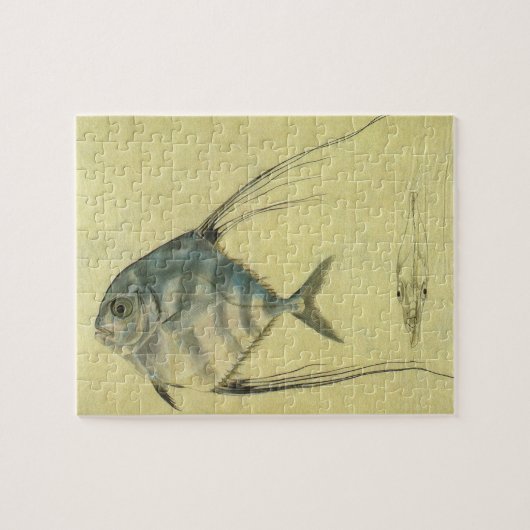 Puzzle Poisson Alectis indicus, Carangue à trois épines v (Horizontal)