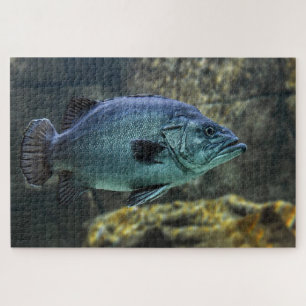 Puzzle Poisson bleu