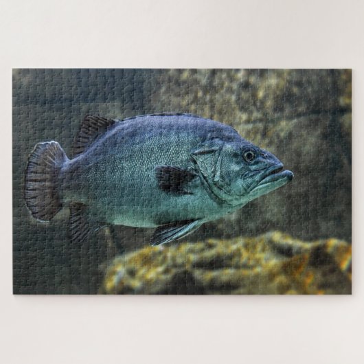 Puzzle Poisson bleu (Horizontal)