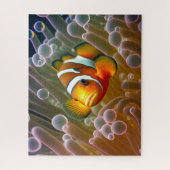 Puzzle Poisson clown dans l'anémone marine (Vertical)