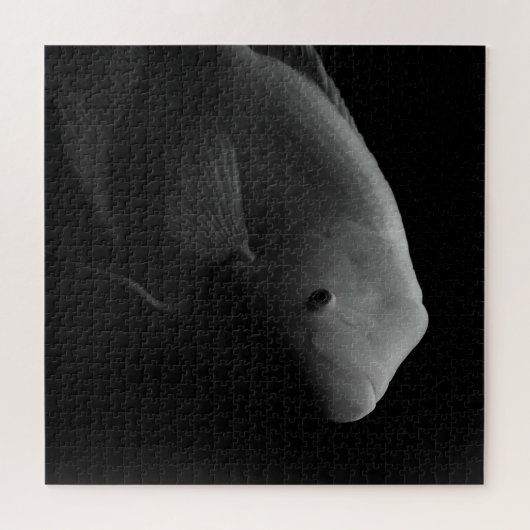Puzzle Poisson dans un réservoir - Photographie d'art (Horizontal)