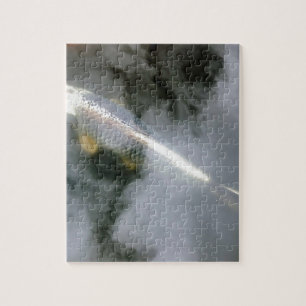 Puzzle Poisson d'argent dans l'eau et les nuages