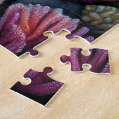 Puzzle Poisson de calcaire coloré (Côté)
