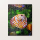 Puzzle Poisson de Discus (Vertical)