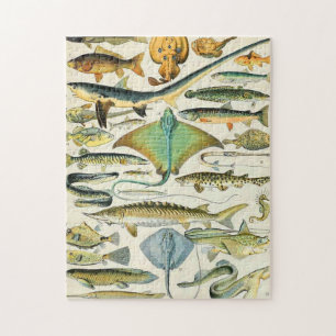 Puzzle Poisson de Millot B
