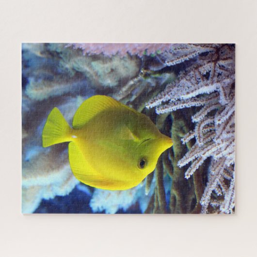 Puzzle Poisson de Tang Jaune (Horizontal)