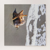 Puzzle Poisson Et Coquille (Horizontal)