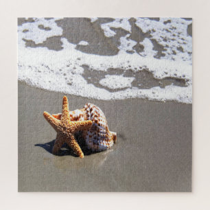 Puzzle Poisson Et Coquille