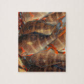 Puzzle Poisson frais (Vertical)