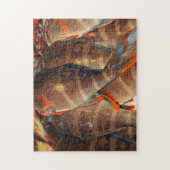 Puzzle Poisson frais (Vertical)