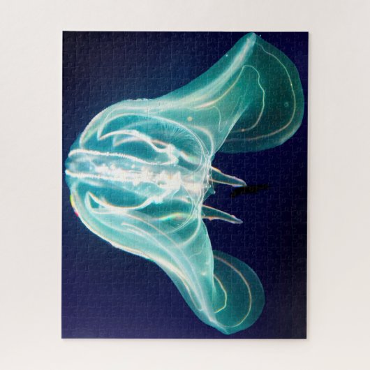 Puzzle Poisson gelé (Vertical)