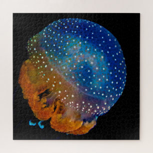 Puzzle Poisson gelé