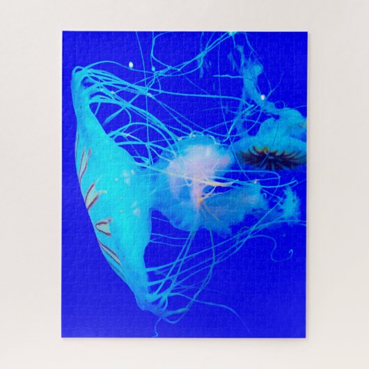 Puzzle Poisson gelé (Vertical)