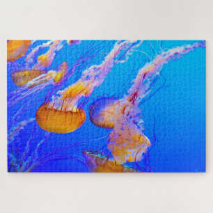 Puzzle Poisson gelé