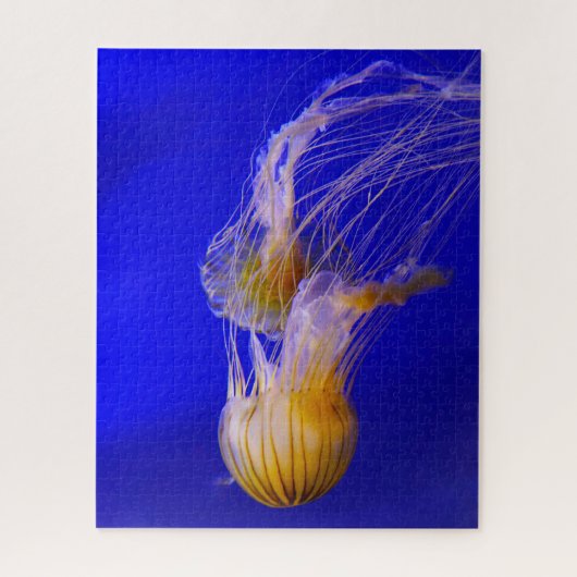 Puzzle Poisson gelé (Vertical)