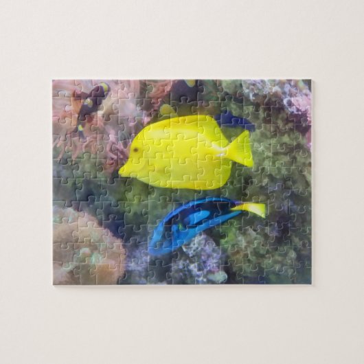 Puzzle Poisson jaune et bleu Tang (Horizontal)