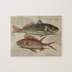Puzzle Poisson Perche Rouge Pêcheur d'Art