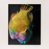 Puzzle Poisson tropical (Vertical)