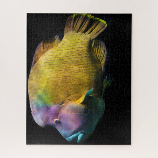 Puzzle Poisson tropical (Vertical)