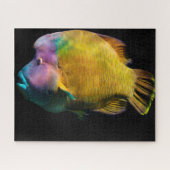Puzzle Poisson tropical (Horizontal)
