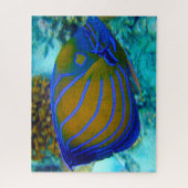 Puzzle Poisson tropical (Vertical)