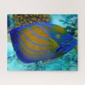 Puzzle Poisson tropical (Horizontal)