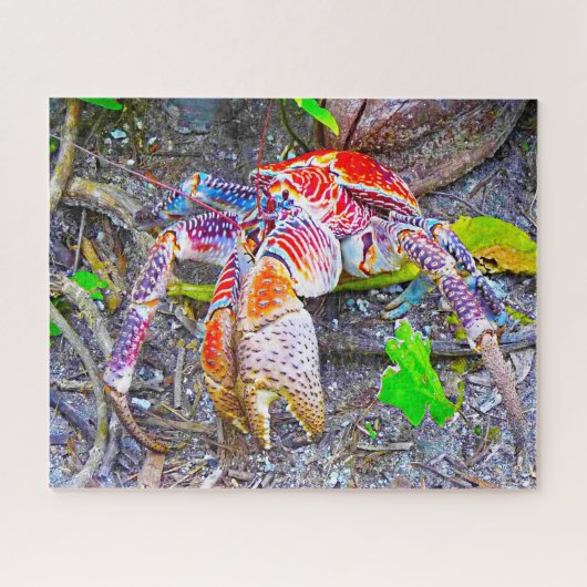 Puzzle Poisson tropical (Horizontal)