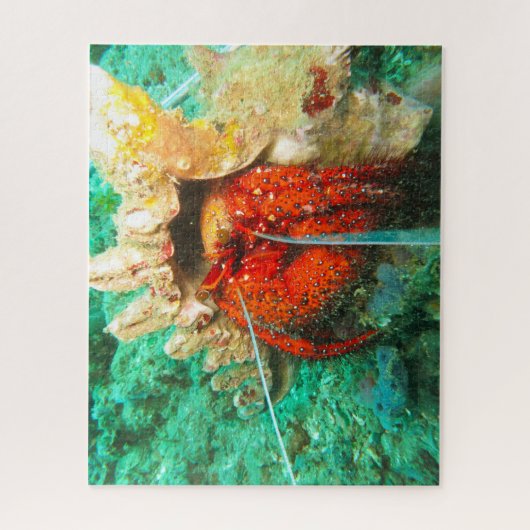 Puzzle Poisson tropical (Vertical)