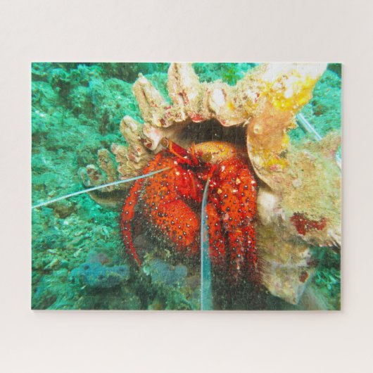Puzzle Poisson tropical (Horizontal)
