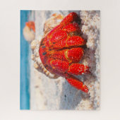 Puzzle Poisson tropical (Vertical)