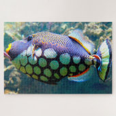 Puzzle Poisson tropical (Horizontal)