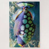 Puzzle Poisson tropical (Vertical)
