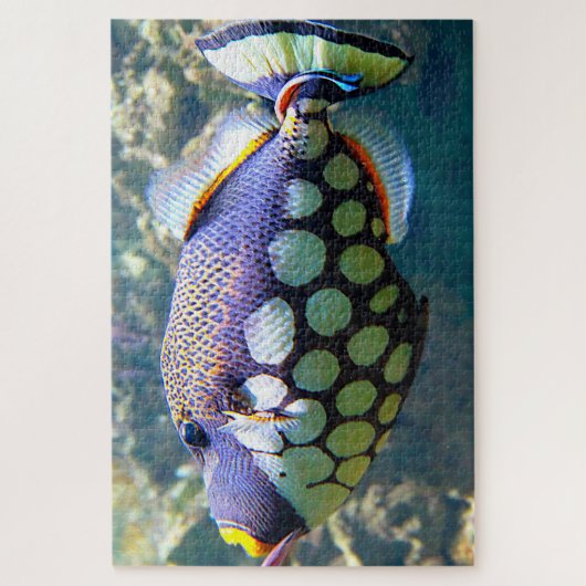 Puzzle Poisson tropical (Vertical)