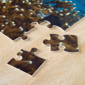 Puzzle Poisson tropical (Côté)
