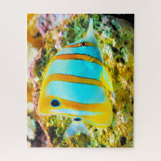 Puzzle Poisson tropical (Vertical)