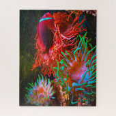 Puzzle Poisson tropical (Vertical)