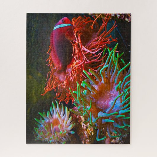 Puzzle Poisson tropical (Vertical)