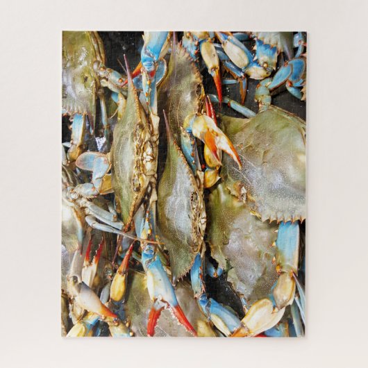 Puzzle Poisson tropical (Vertical)