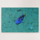 Puzzle Poisson Tropical. (Horizontal)