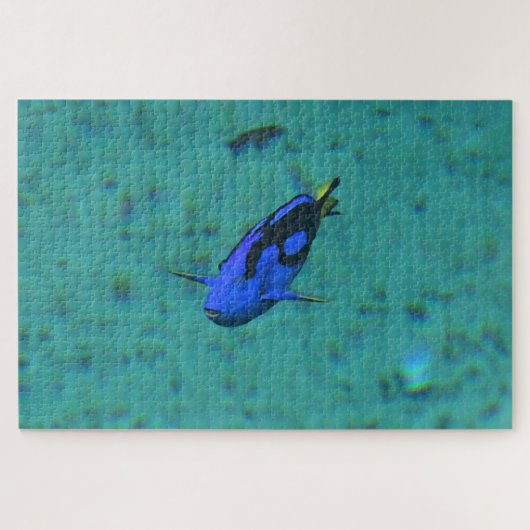 Puzzle Poisson Tropical. (Horizontal)